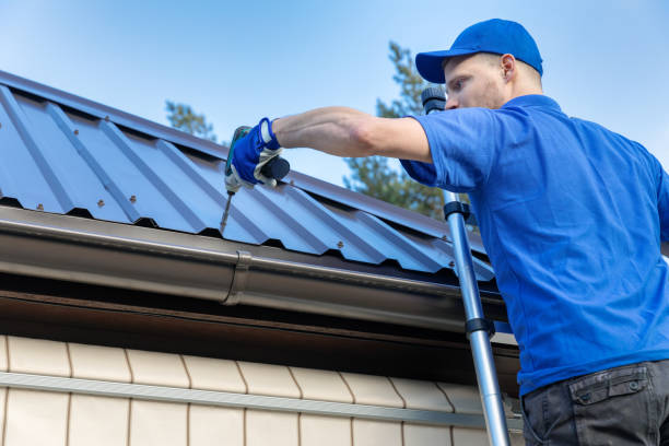 Best Metal Roofing Installation  in Nisswa, MN